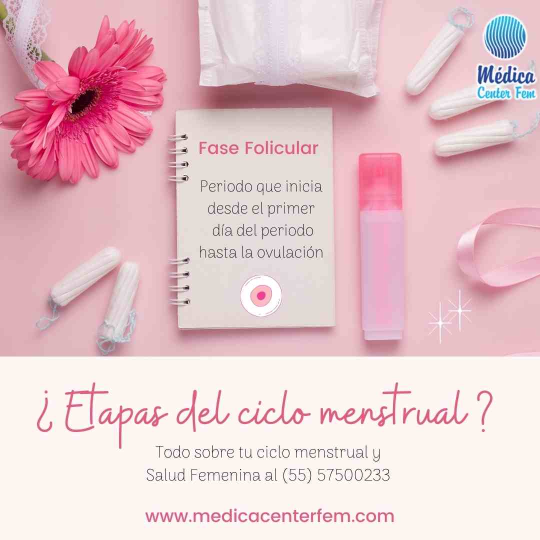 Ciclo Menstrual Todo Sobre Las Etapas Del Ciclo Menstrual 7956