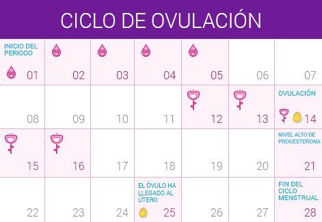 Calculadora De Días Fértiles Calculadora De Ovulación